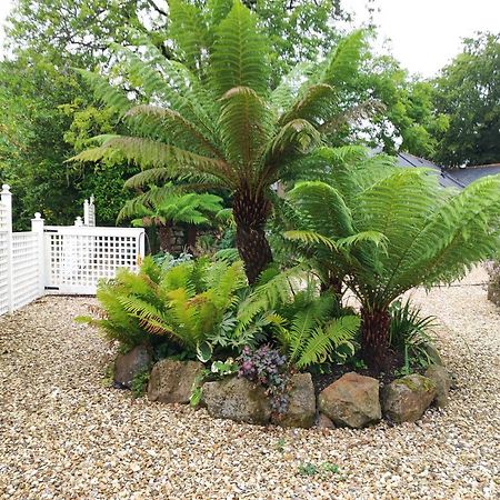 Pleasant Streams Barn Bed & Breakfast St. Austell Eksteriør bilde