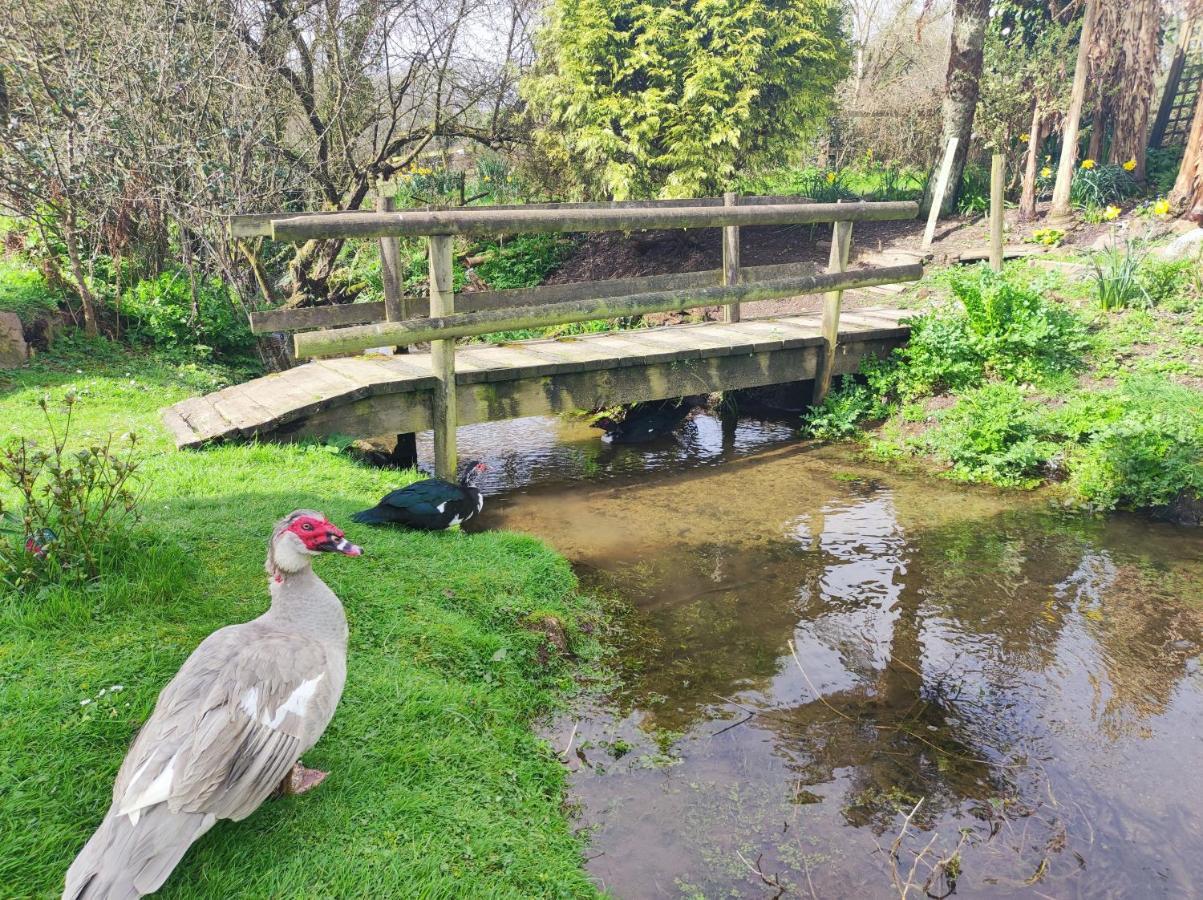 Pleasant Streams Barn Bed & Breakfast St. Austell Eksteriør bilde